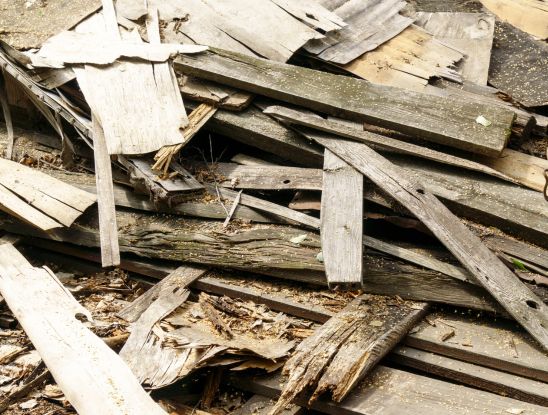 Holz-entsorgen-in-Berlin